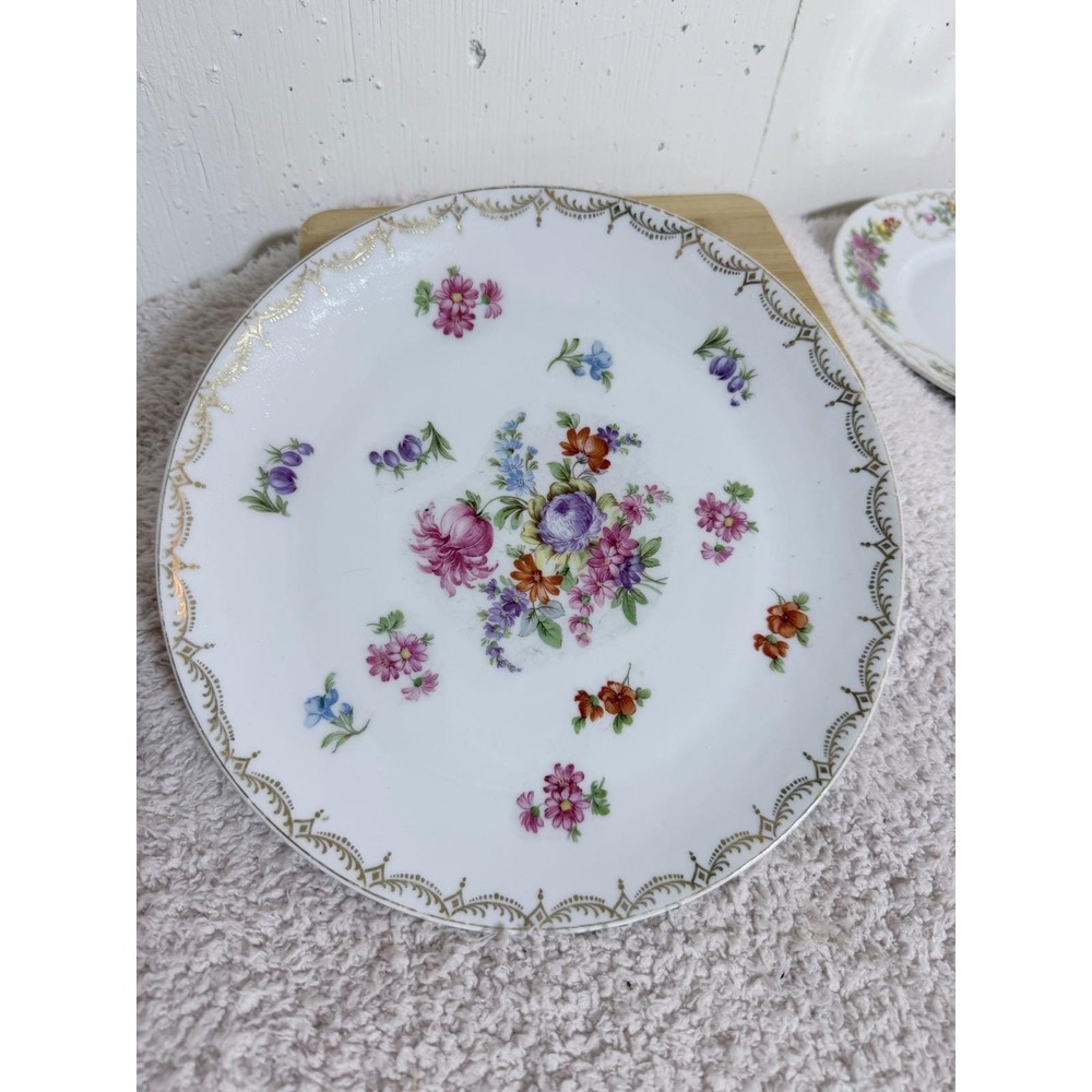 Vintage ACS Bavaria Germany Floral Porcelain Dinner Plate Gold Filigree 9.75"